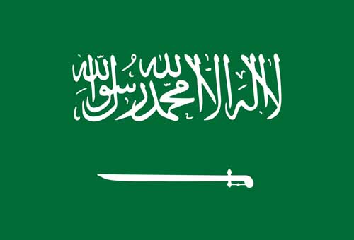 Saido Aranoa Flag